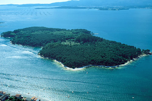 Visita la Isla de Cortegada