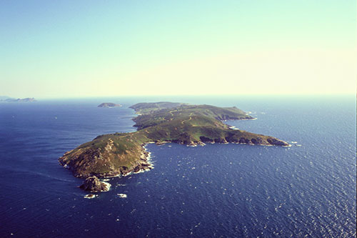 Visita a la Isla de Ons
