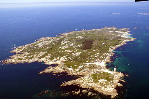 Visita la Isla de Salvora
